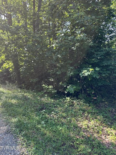 Photo #10: 1501 Sprucy Ridge Private Road