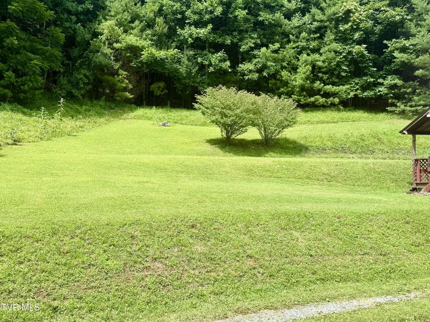 Photo #8: 176 Piney Grove Road