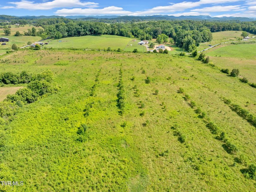 Photo #14: Lot 6 Cantrell