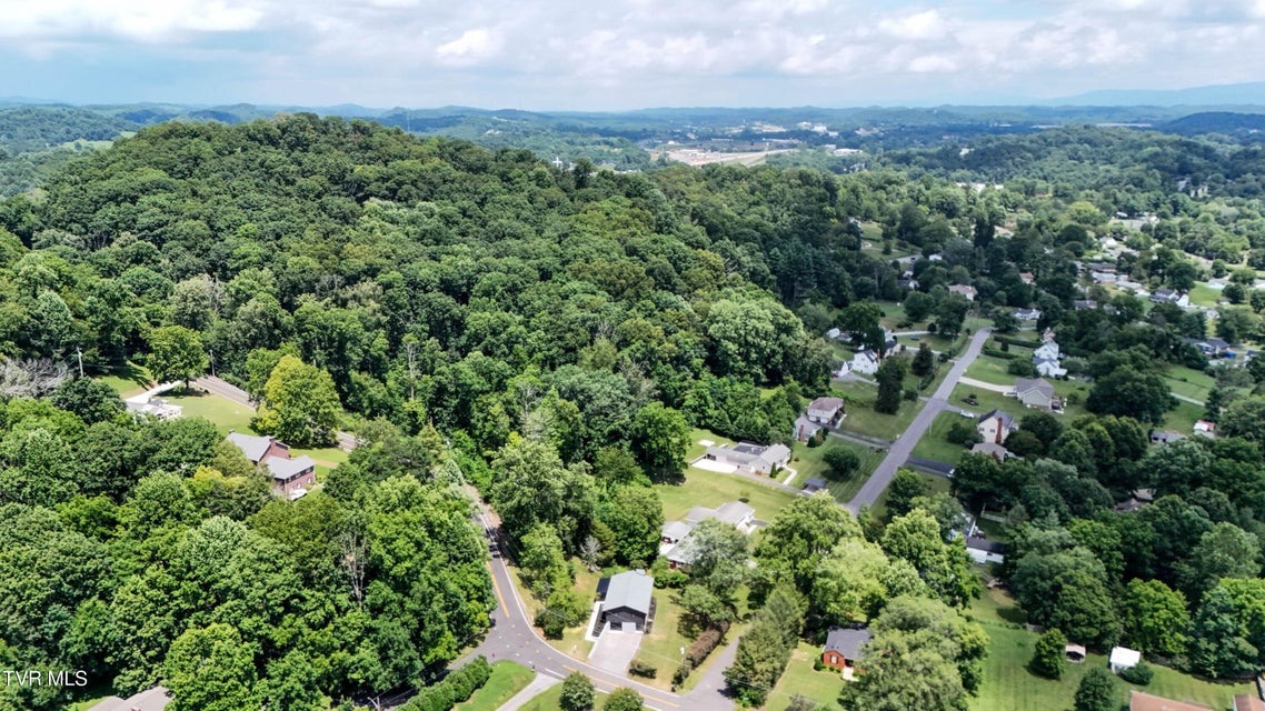 Photo #60: 1091 Long Crescent Drive