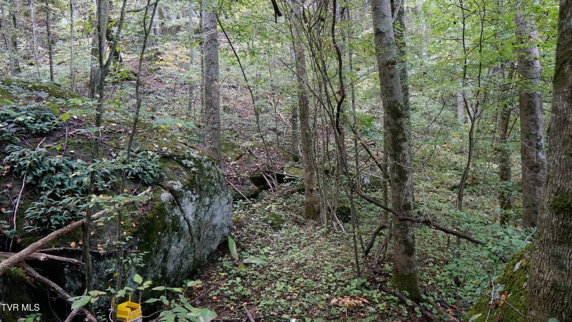 Photo #7: 7490 Highway 19-E