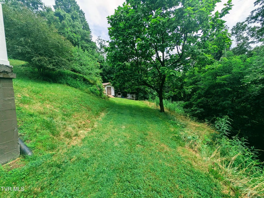 Photo #5: 2005 Dc Caney Ridge Road