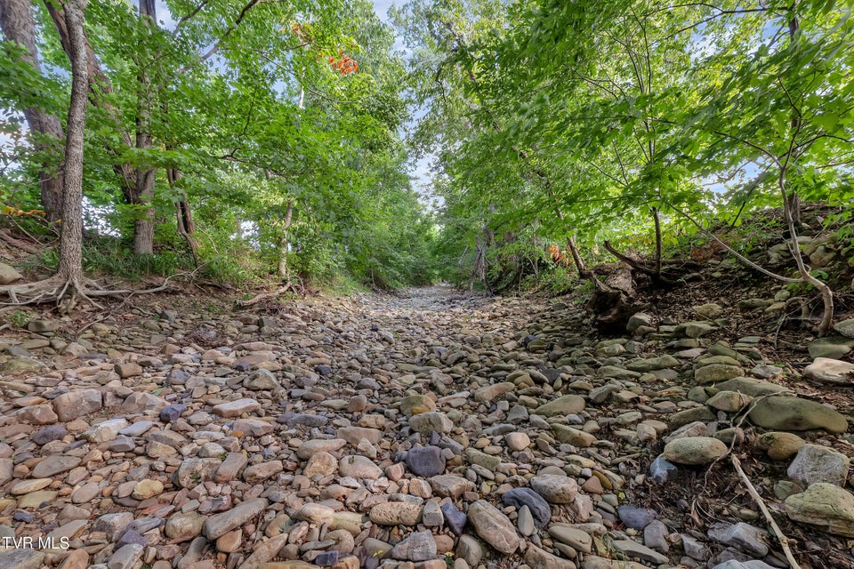 Photo #40: 230 Fishpond Road