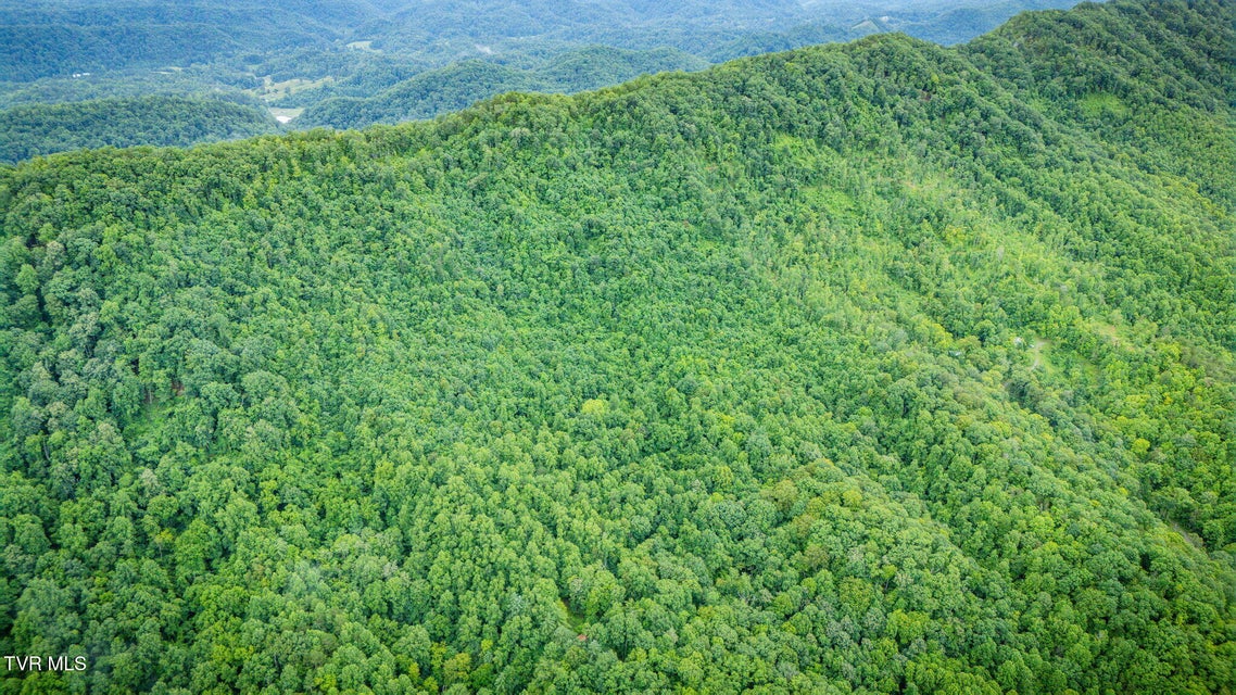 Photo #35: Tbd Clinch Mountain Road