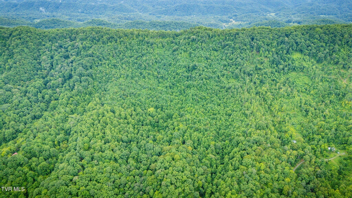 Photo #36: Tbd Clinch Mountain Road