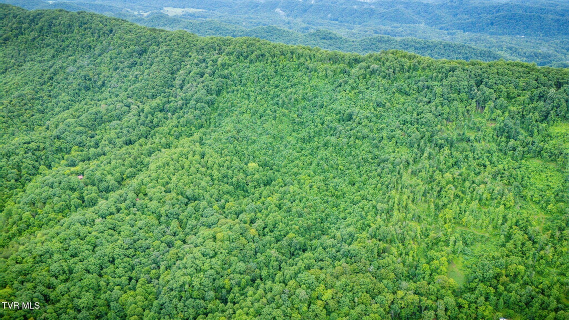 Photo #37: Tbd Clinch Mountain Road
