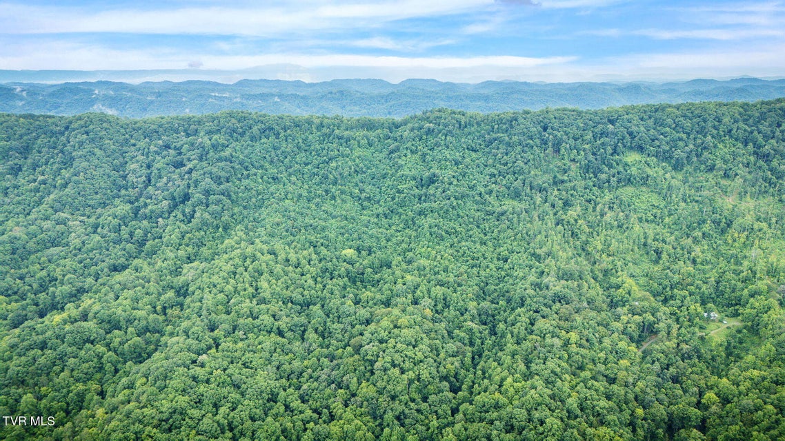 Photo #39: Tbd Clinch Mountain Road