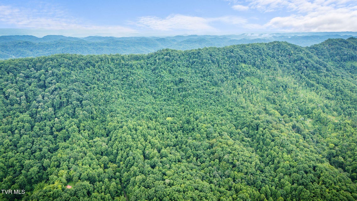 Photo #40: Tbd Clinch Mountain Road