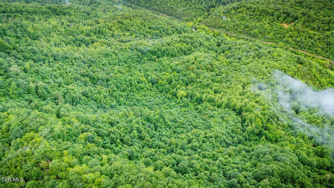 Photo #43: Tbd Clinch Mountain Road