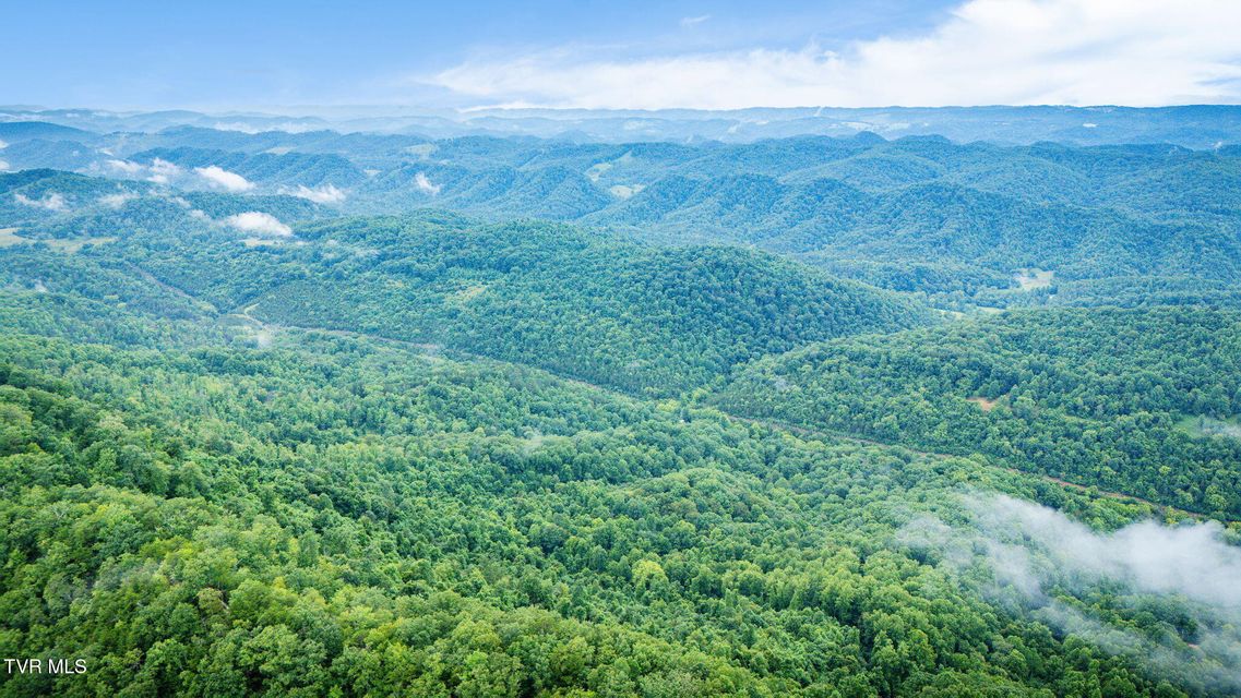 Photo #2: Tbd Clinch Mountain Road