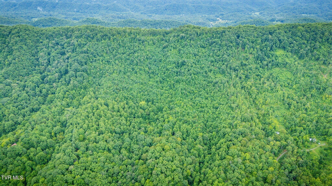 Photo #46: Tbd Clinch Mountain Road