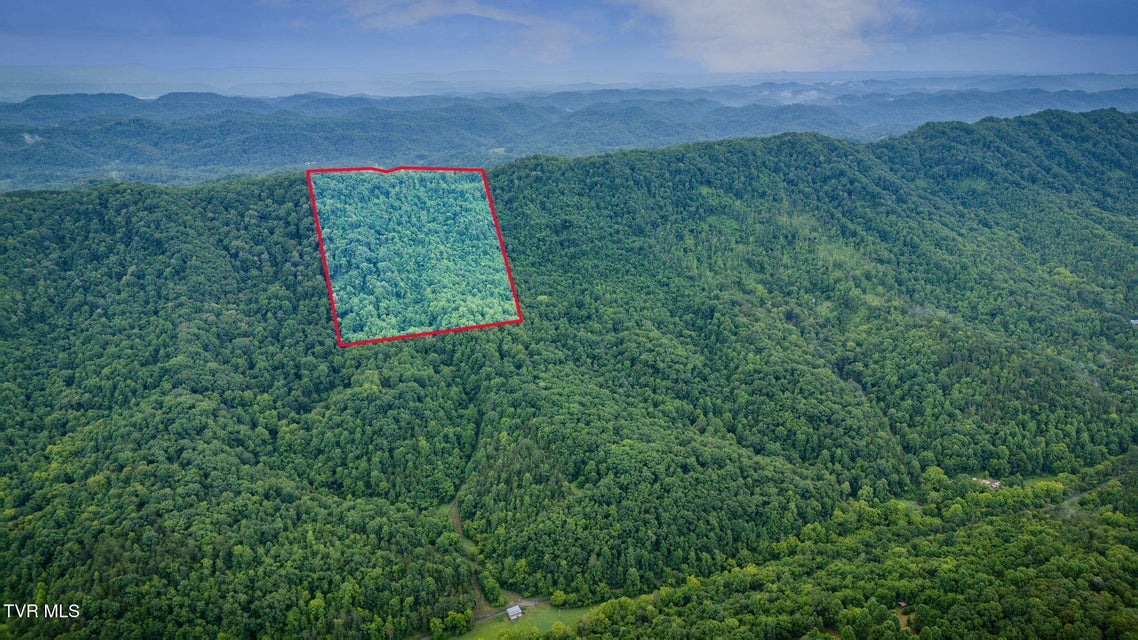 Photo #8: Tbd Clinch Mountain Road