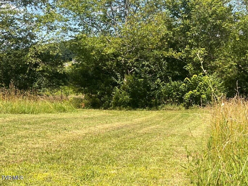 Photo #65: 1541 Gregg Mill Road