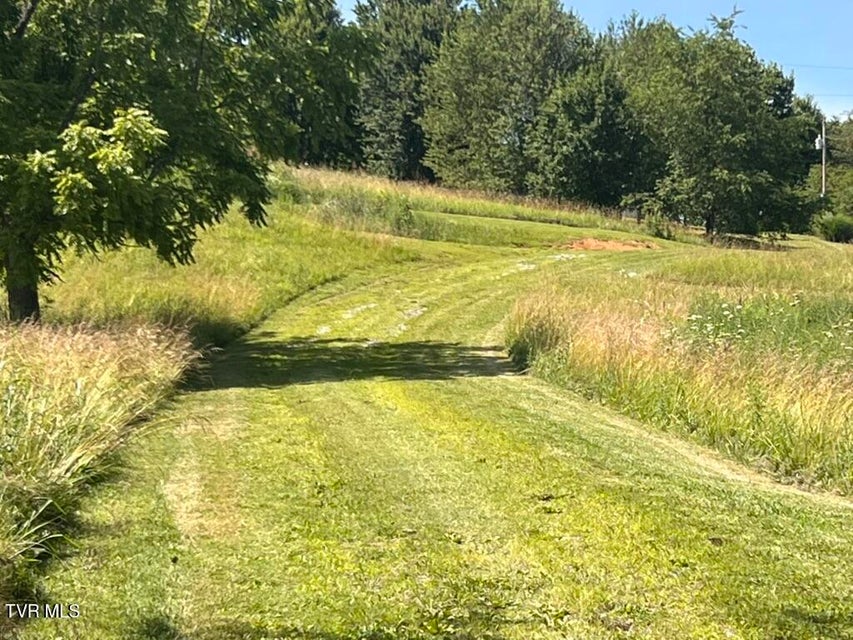 Photo #32: 1541 Gregg Mill Road