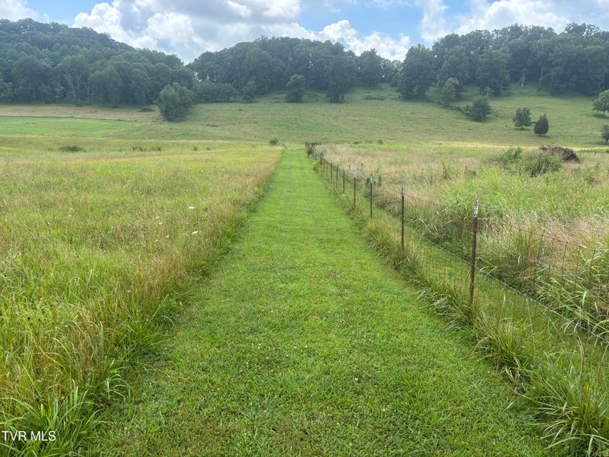 Photo #38: 2378 Carters Vly Road