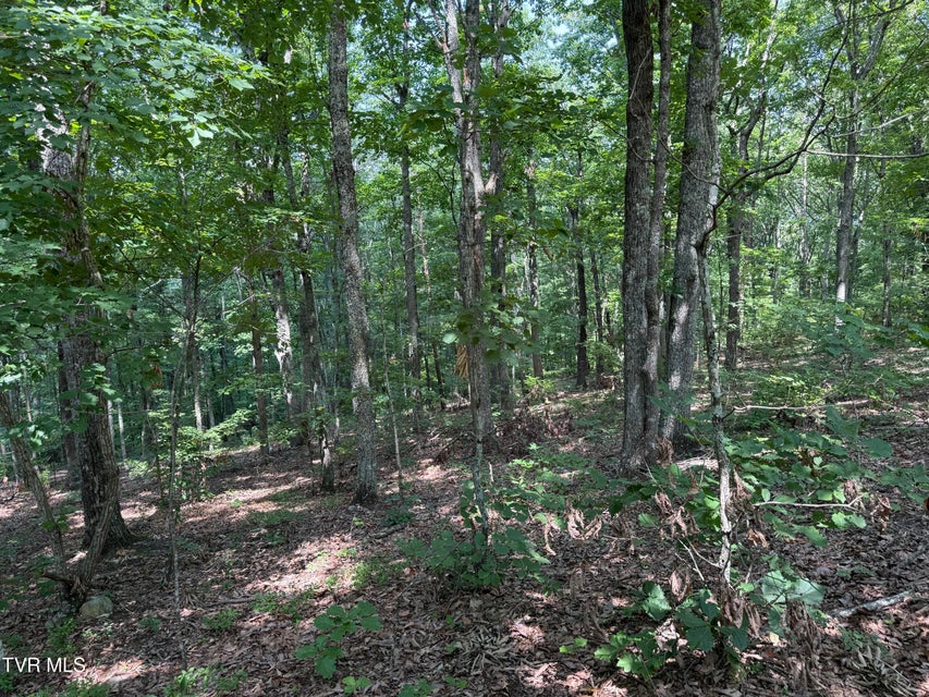 Photo #5: Lot 36 Pecan Tree Lane