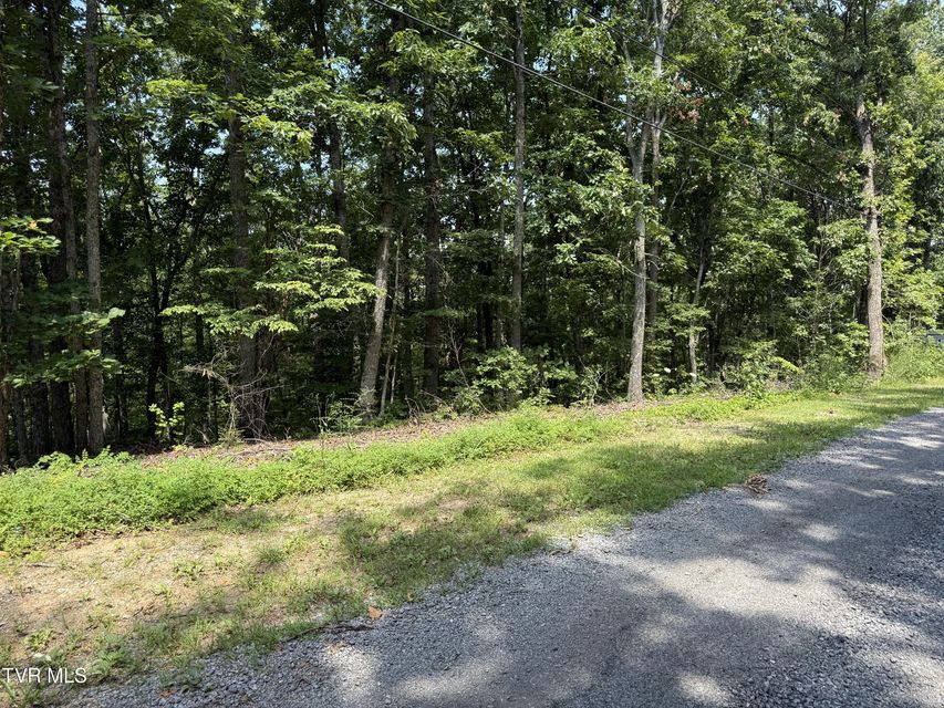 Photo #7: Lot 36 Pecan Tree Lane