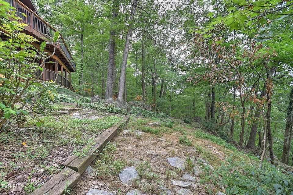 Photo #61: 4416 Beechcliff Drive