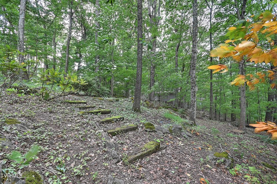 Photo #66: 4416 Beechcliff Drive