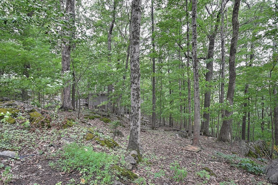 Photo #68: 4416 Beechcliff Drive