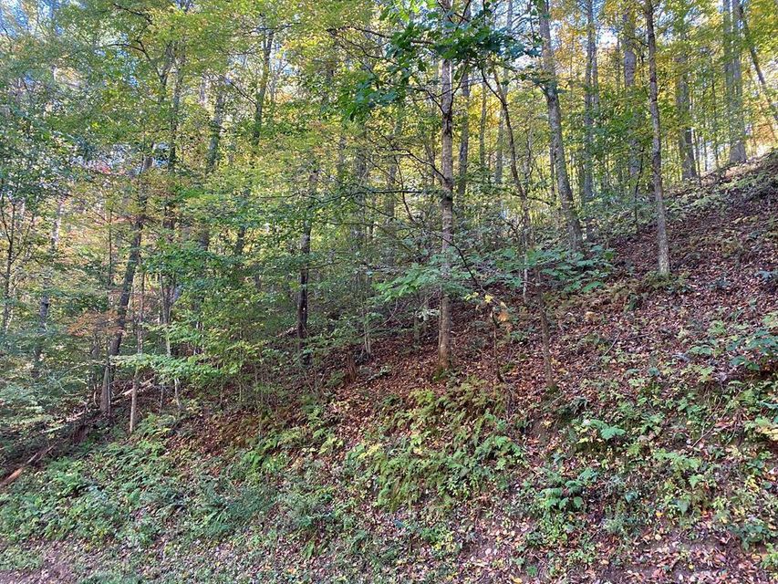 Photo #4: 175 Canaan Road