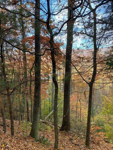 Photo #5: 175 Canaan Road