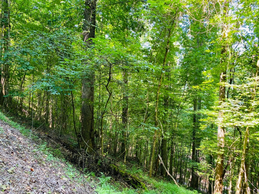 Photo #11: Lot 14 Diamond Point Drive