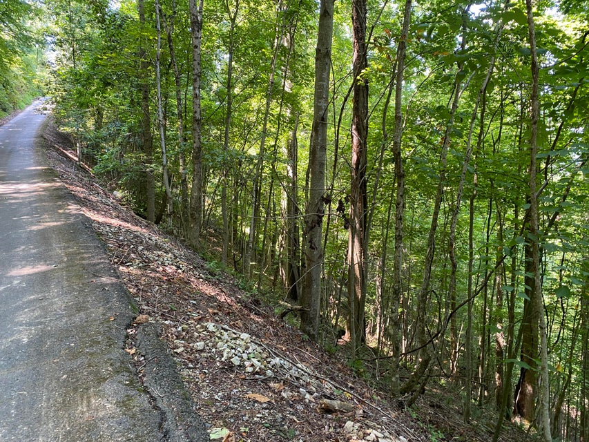 Photo #12: Lot 14 Diamond Point Drive