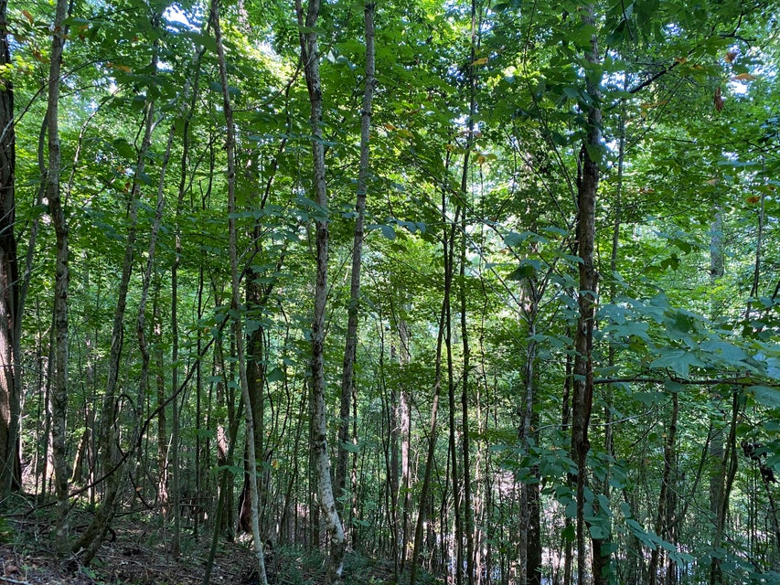 Photo #20: Lot 14 Diamond Point Drive