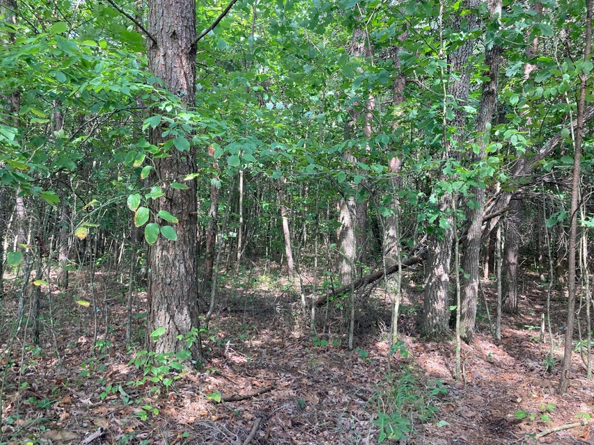Photo #21: Lot 14 Diamond Point Drive
