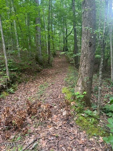 Photo #3: 5394 Snake Hollow Road