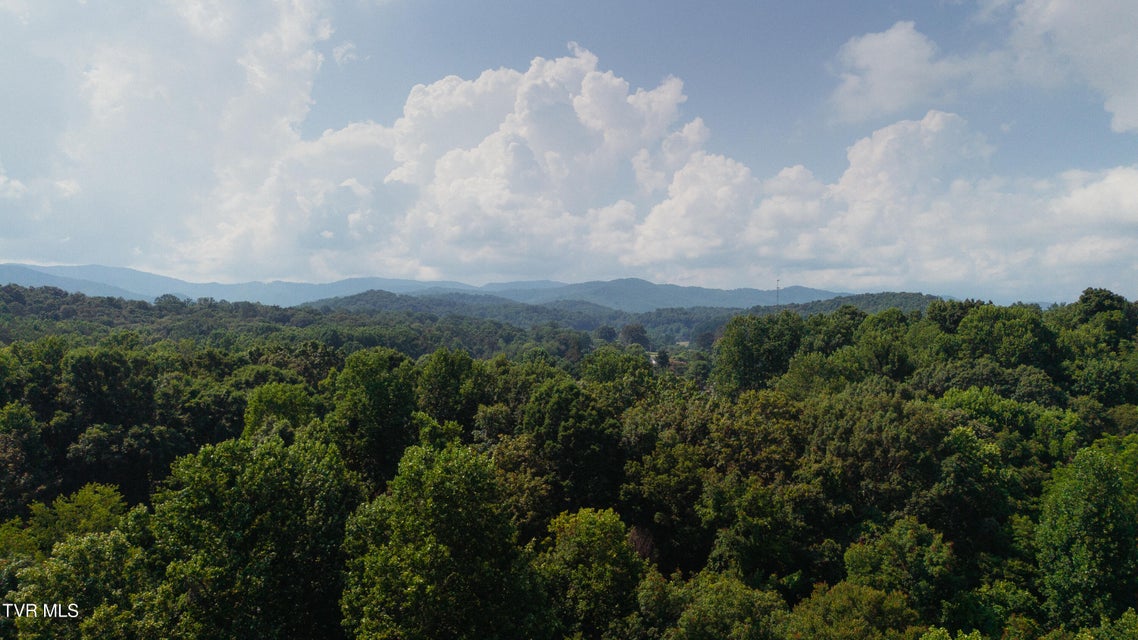 Photo #9: 236 Rockhouse Road