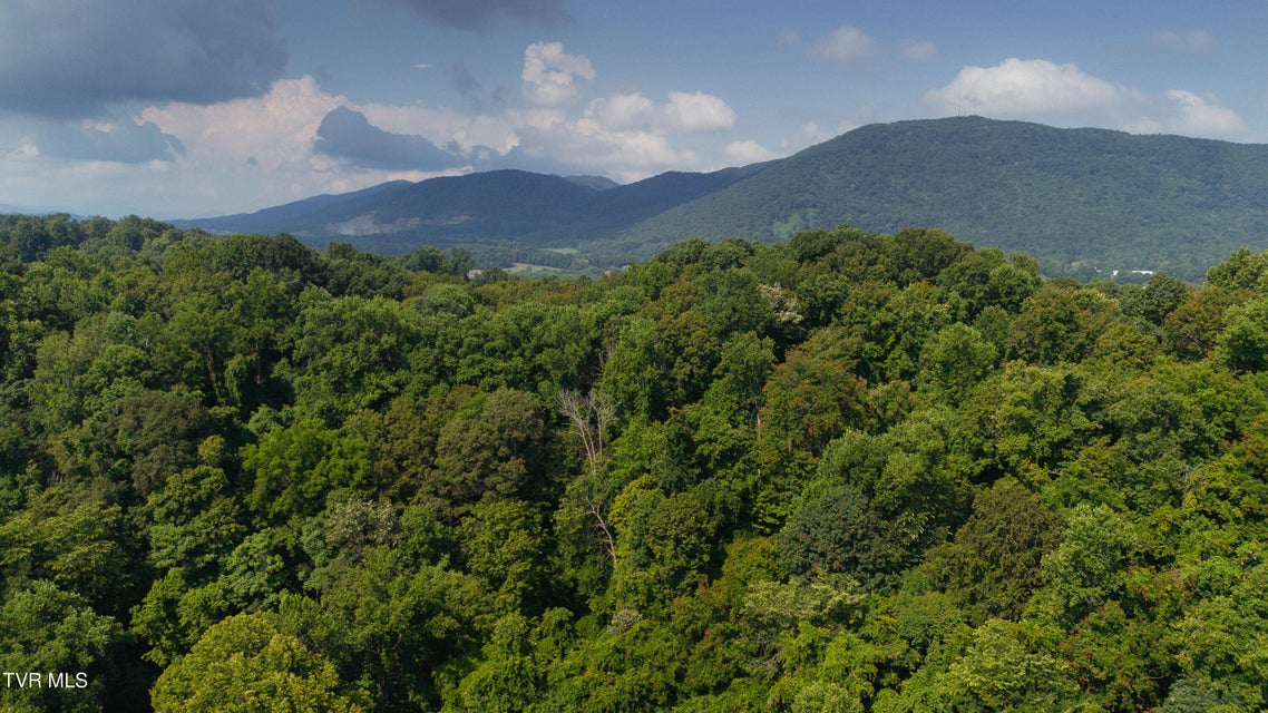 Photo #4: 236 Rockhouse Road