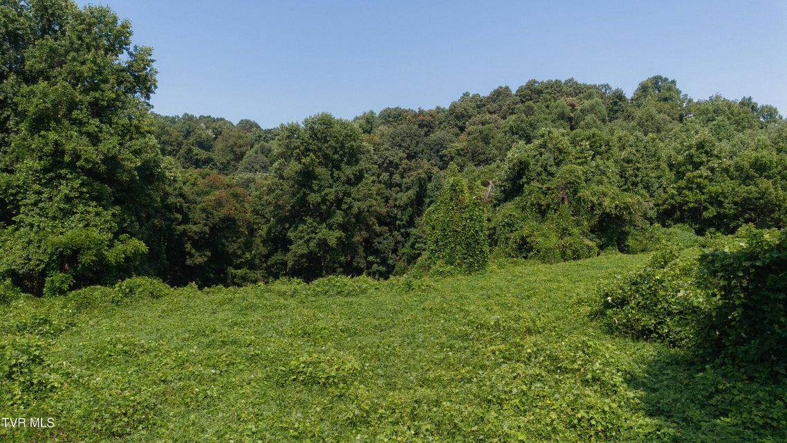 Photo #13: 236 Rockhouse Road