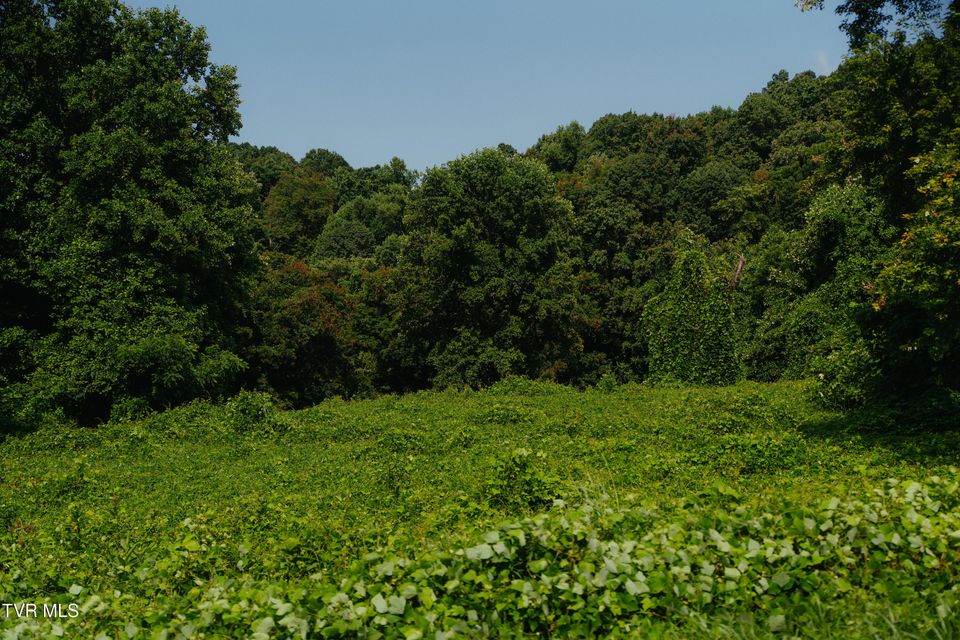 Photo #2: 236 Rockhouse Road