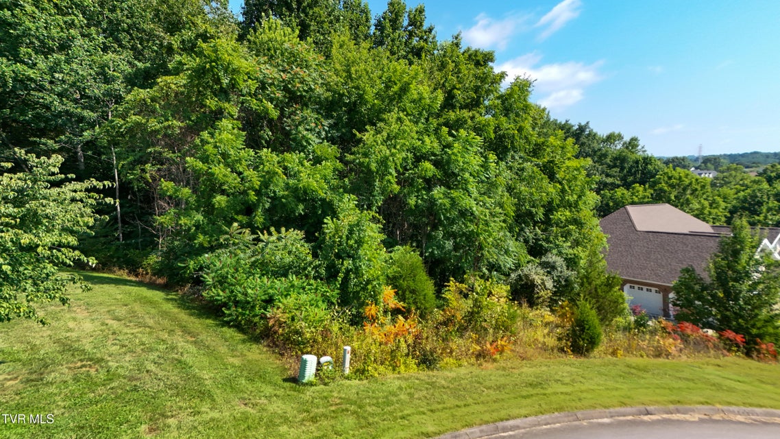 Photo #2: 160 Sugarcane Lane