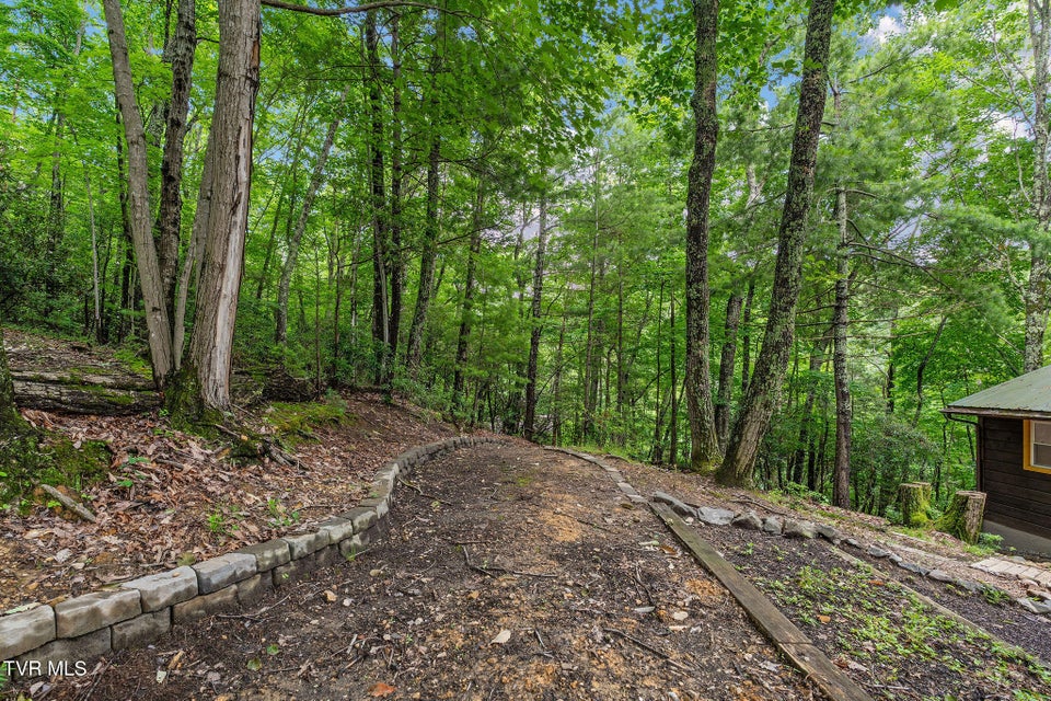 Photo #67: 114 Whisper Wood Lane