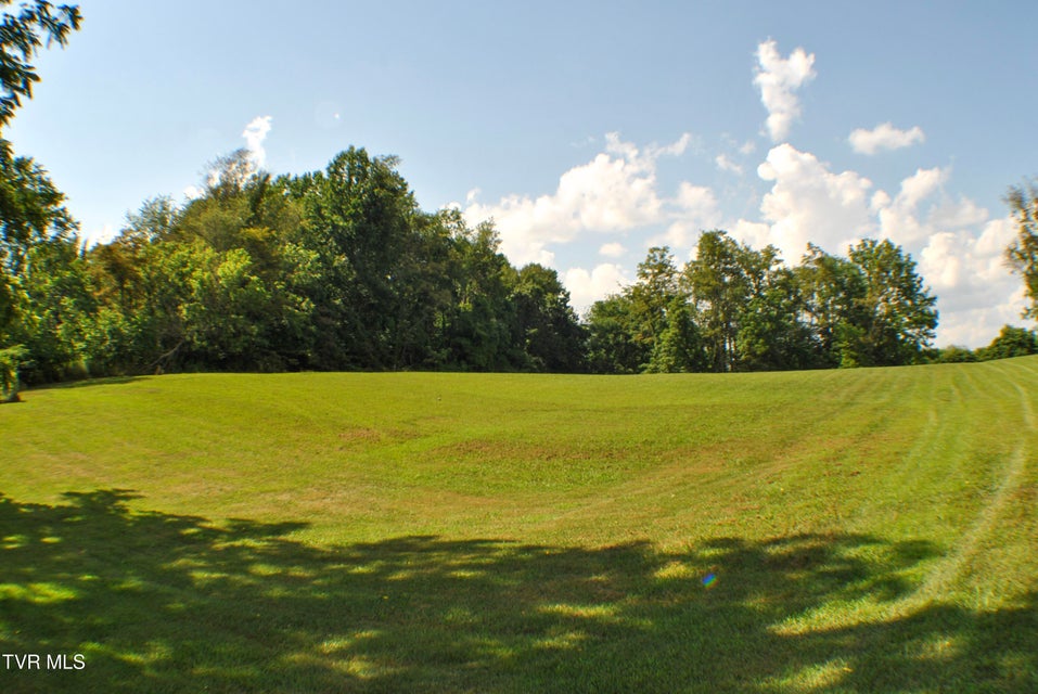 Photo #8: 2351 Hwy 81 S