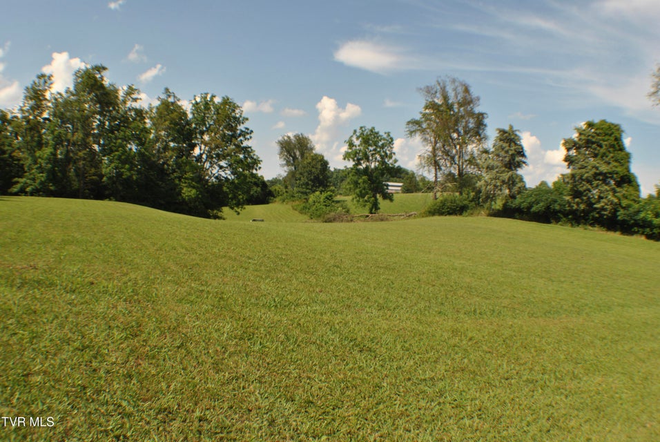 Photo #12: 2351 Hwy 81 S