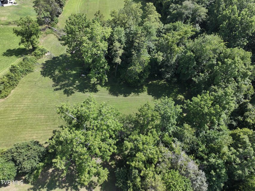 Photo #43: 2351 Hwy 81 S