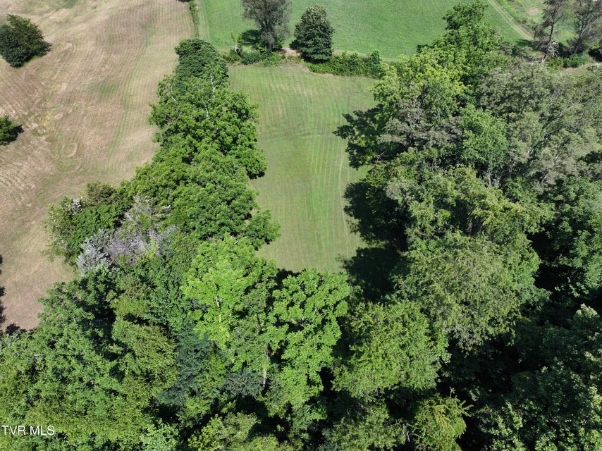 Photo #44: 2351 Hwy 81 S