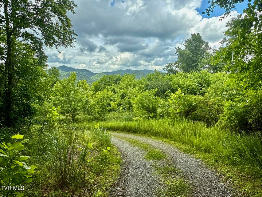 Photo #7: 131 Gibson Hollow Road