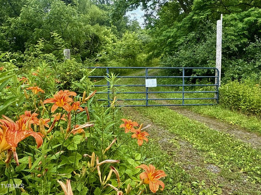 Photo #8: 131 Gibson Hollow Road