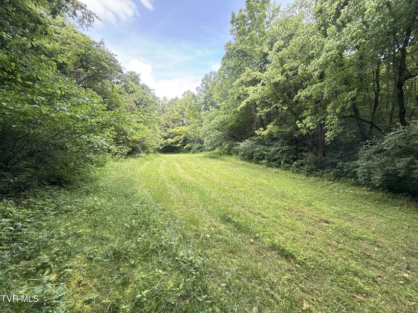 Photo #50: 131 Gibson Hollow Road