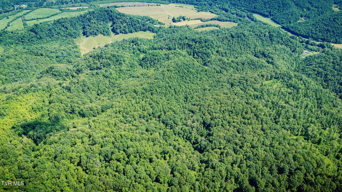Photo #62: 131 Gibson Hollow Road