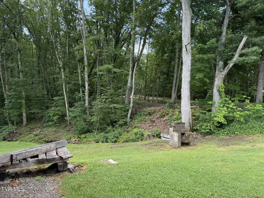 Photo #41: 2818 Dungannon Road