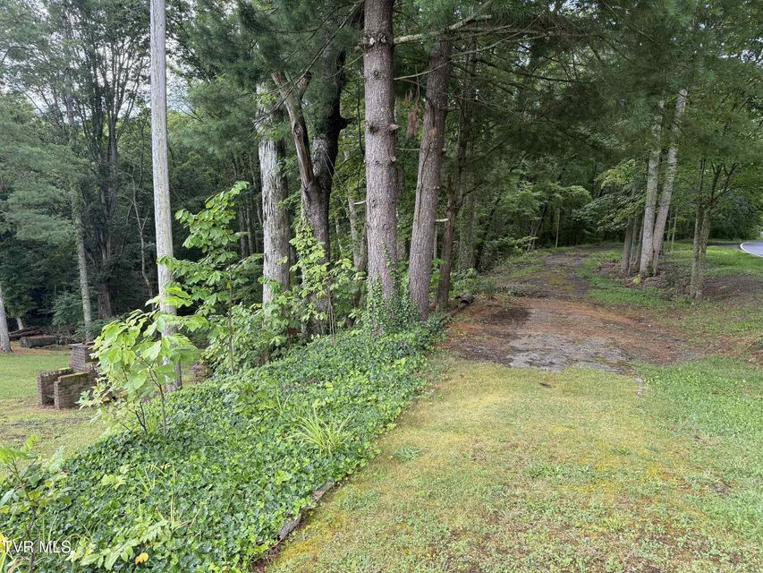 Photo #46: 2818 Dungannon Road