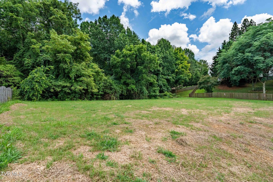 Photo #43: 1308 Walnut Grove Road