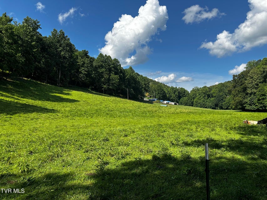 Photo #2: 1013 Cloud Creek Road