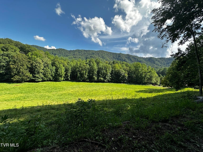 Photo #4: 1013 Cloud Creek Road